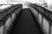 DSC02703.jpg