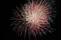 DSC00083.jpg
