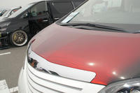DSC00315.jpg