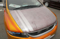 DSC00317.jpg