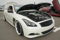 DSC00377.jpg