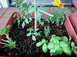 F1000077.JPG