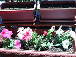 F1000092.JPG
