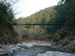 P1100376s.jpg