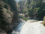 P1100296s.jpg