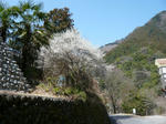 P1100331s.jpg