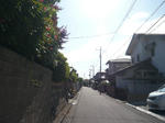 P1100424.jpg