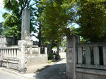 P1100445.jpg