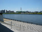 P1100528.jpg