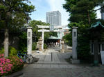 P1100599.jpg