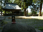 P1100765.jpg