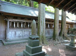 P1100835.jpg