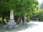 P1110280.jpg