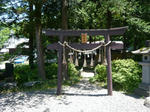 P1110377.jpg