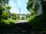P1110464.jpg