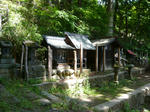 P1110550.jpg