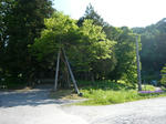 P1110720.jpg