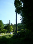 P1110753.jpg