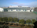 b8214b36.jpg