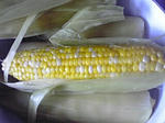 071005_0851~01.jpg