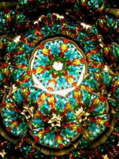 091025_2050~002.jpg