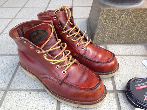 RED WING 8875 オロラセット アイリッシュセッター｜REDWINGと私