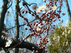 P1070267_01.jpg