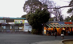 PA0_0078.JPG