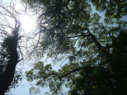 P1080020_01.jpg
