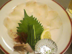 SA3A0049_01_01.jpg