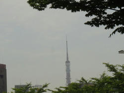 DSC00365_01.jpg