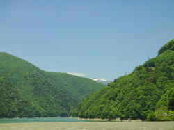 DSC00447_01.jpg