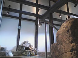 PA0_0003.JPG