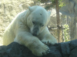 DSC01399_01.jpg