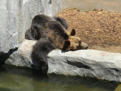 DSC01427_01.jpg