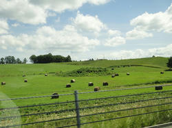 DSC01435_01.jpg