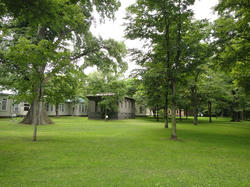 DSC01555.jpg