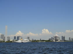 DSC01784.JPG