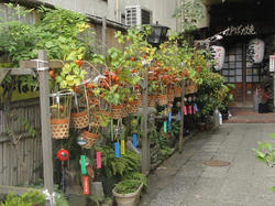 DSC03370_01.JPG