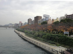 DSC03414_01.JPG