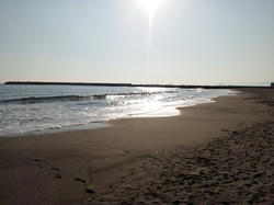 SH3K0150_01.JPG