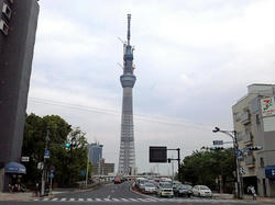 SH3K0479_02_01.jpg