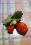 20071130.jpg