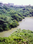 200804291232000.jpg