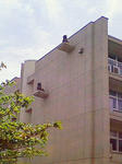 200804291240000.jpg