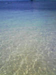 200805041528000.jpg