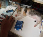 2007 8 16