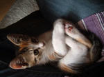 2007931