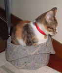 20071010あ