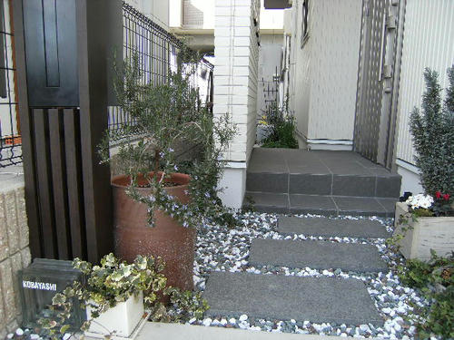 DSCF0574.JPG